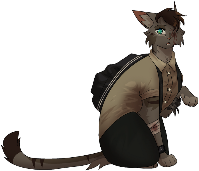 Random Survivor OC Random Survivor OC