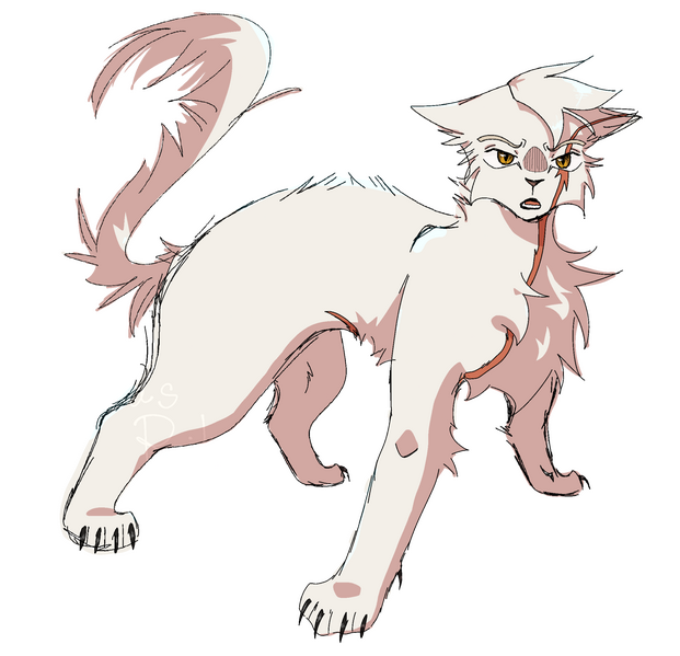 Snowtuft Sketchy ref Snowtuft Sketchy ref