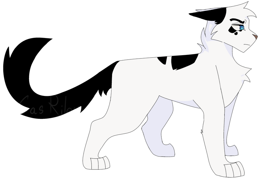 Darktail ref/design Darktail ref/design